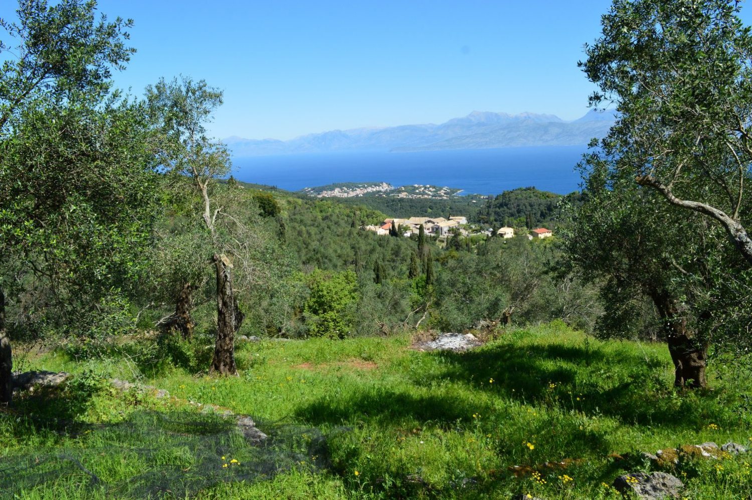Corfu Land for Sale North East Corfu Homes