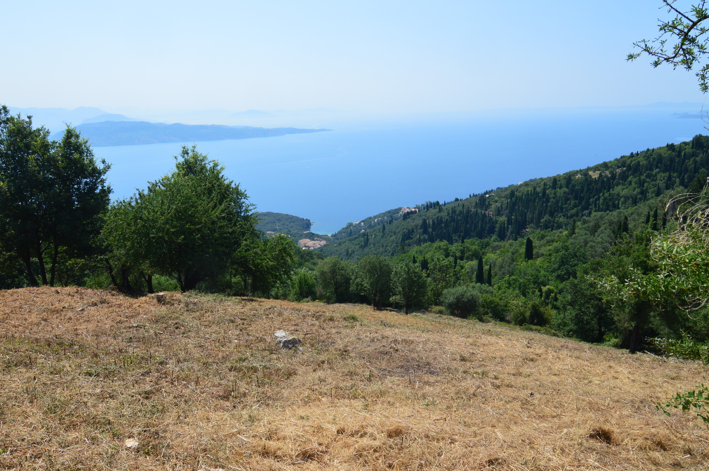 admin.corfuhomes.gr admin.corfuhomes.gr dsc 0100 resize