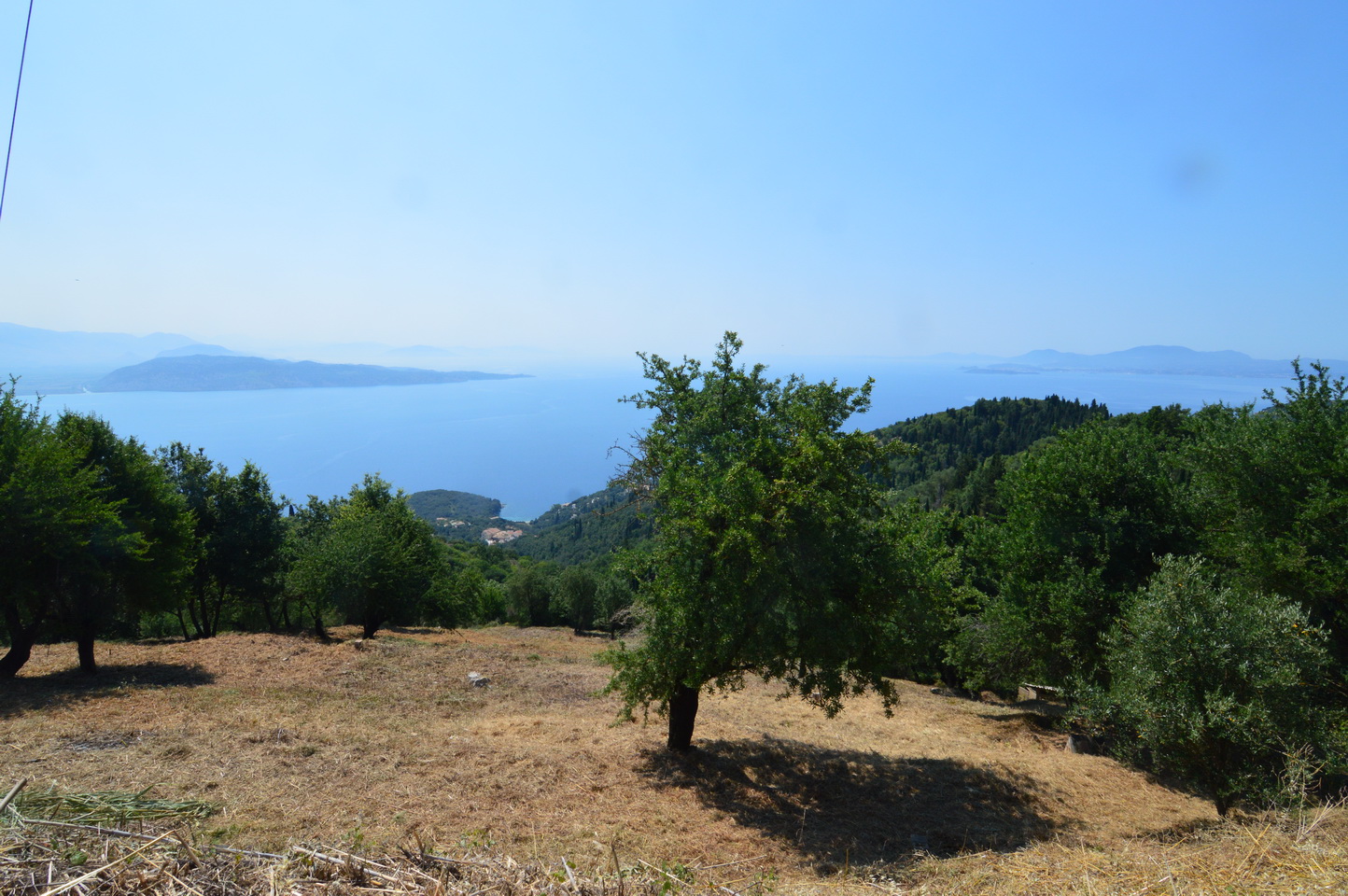 admin.corfuhomes.gr admin.corfuhomes.gr dsc 0094 resize