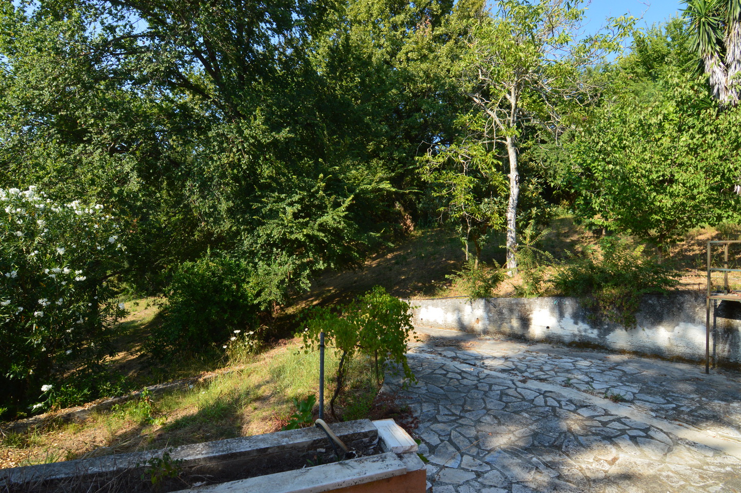 admin.corfuhomes.gr admin.corfuhomes.gr dsc 0325 resize