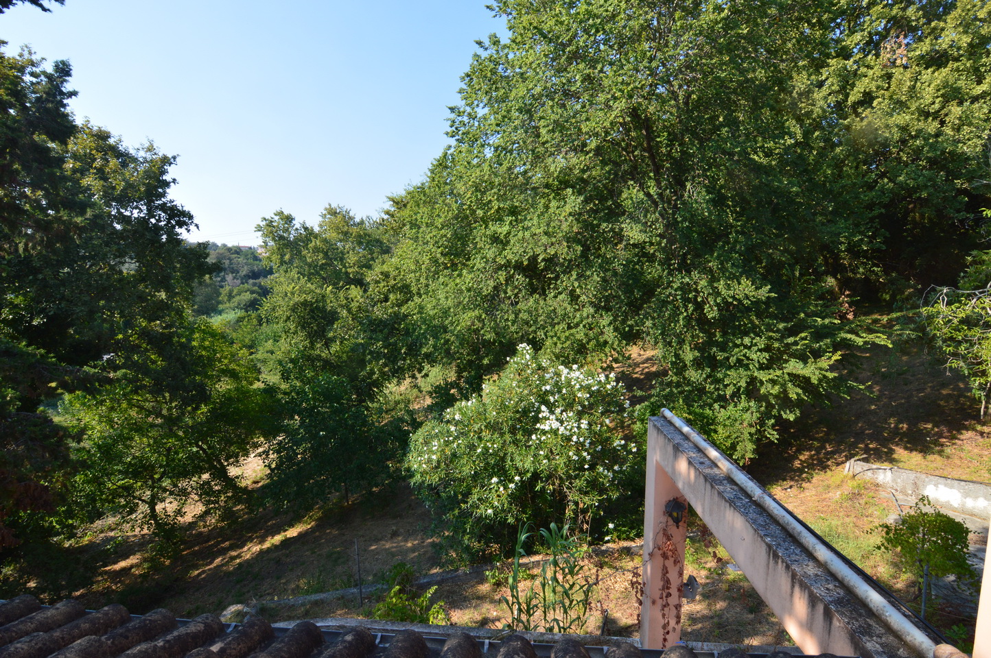 admin.corfuhomes.gr admin.corfuhomes.gr dsc 0346 resize