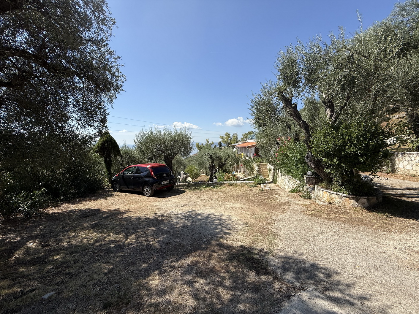 IMG 1859 resize