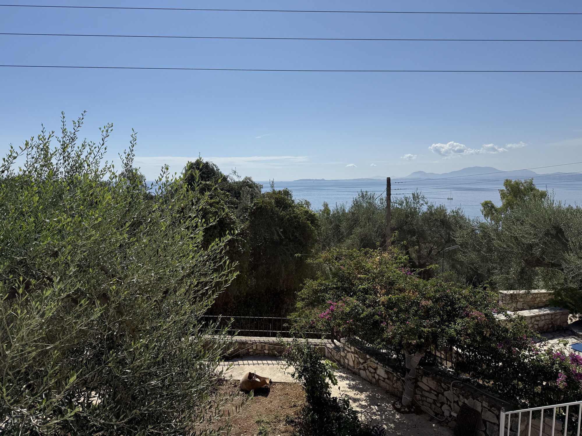 IMG 1837 resize
