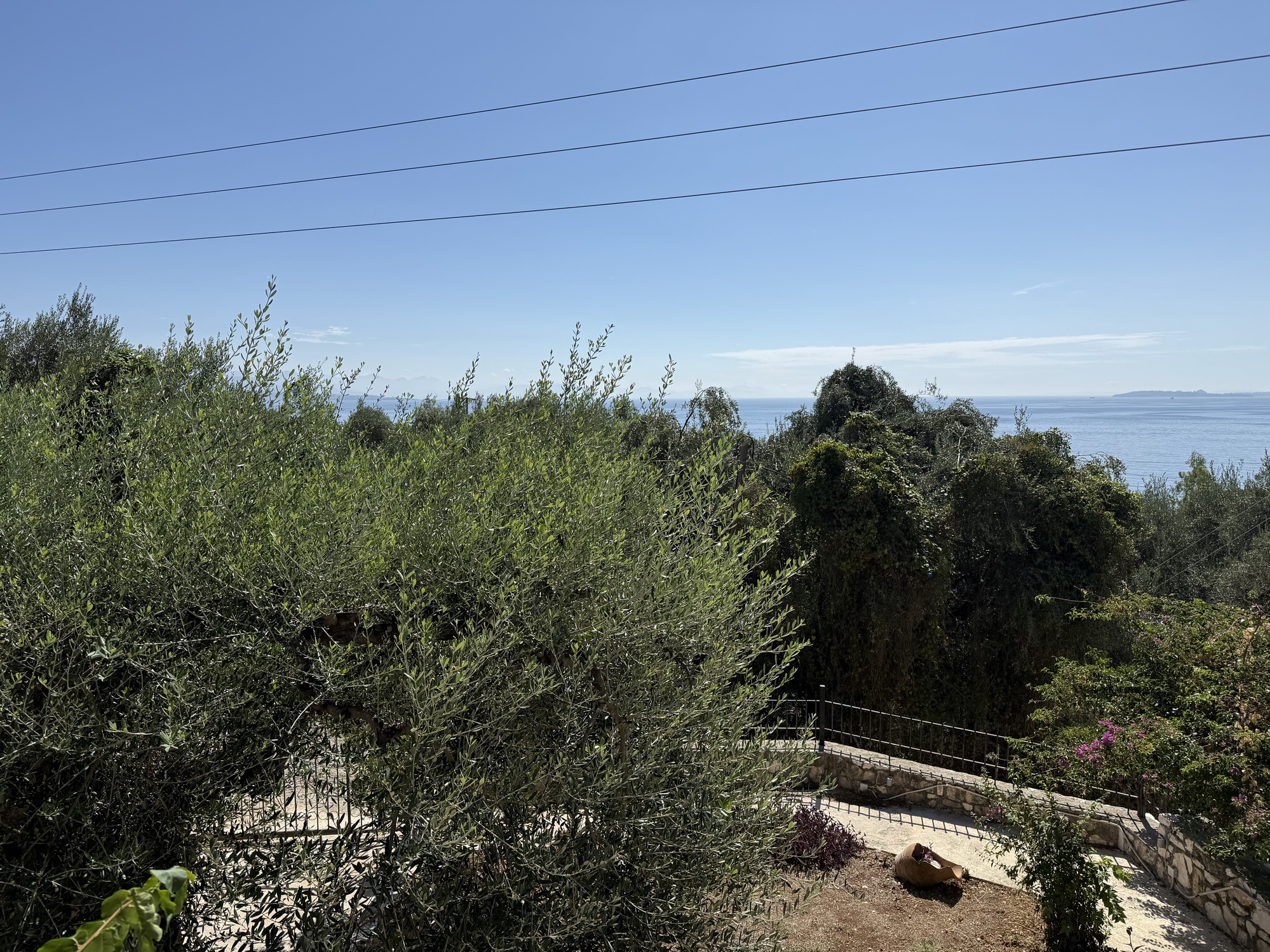 IMG 1839 resize