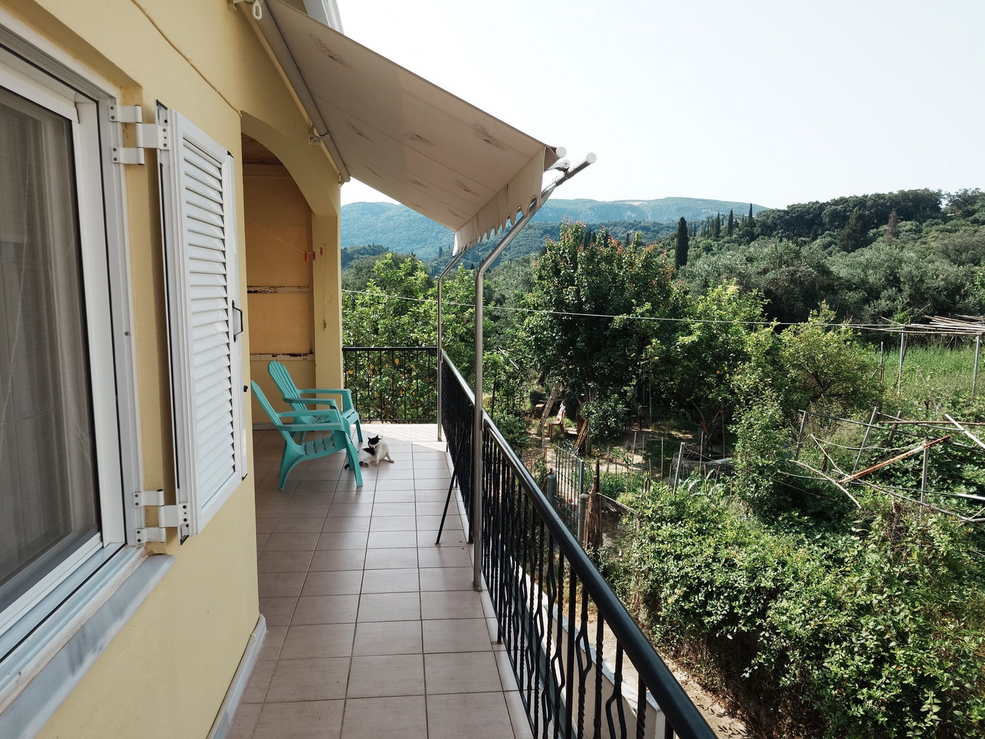 502e30ba 3363 4a93 a352 380442d8daaf (1) resize