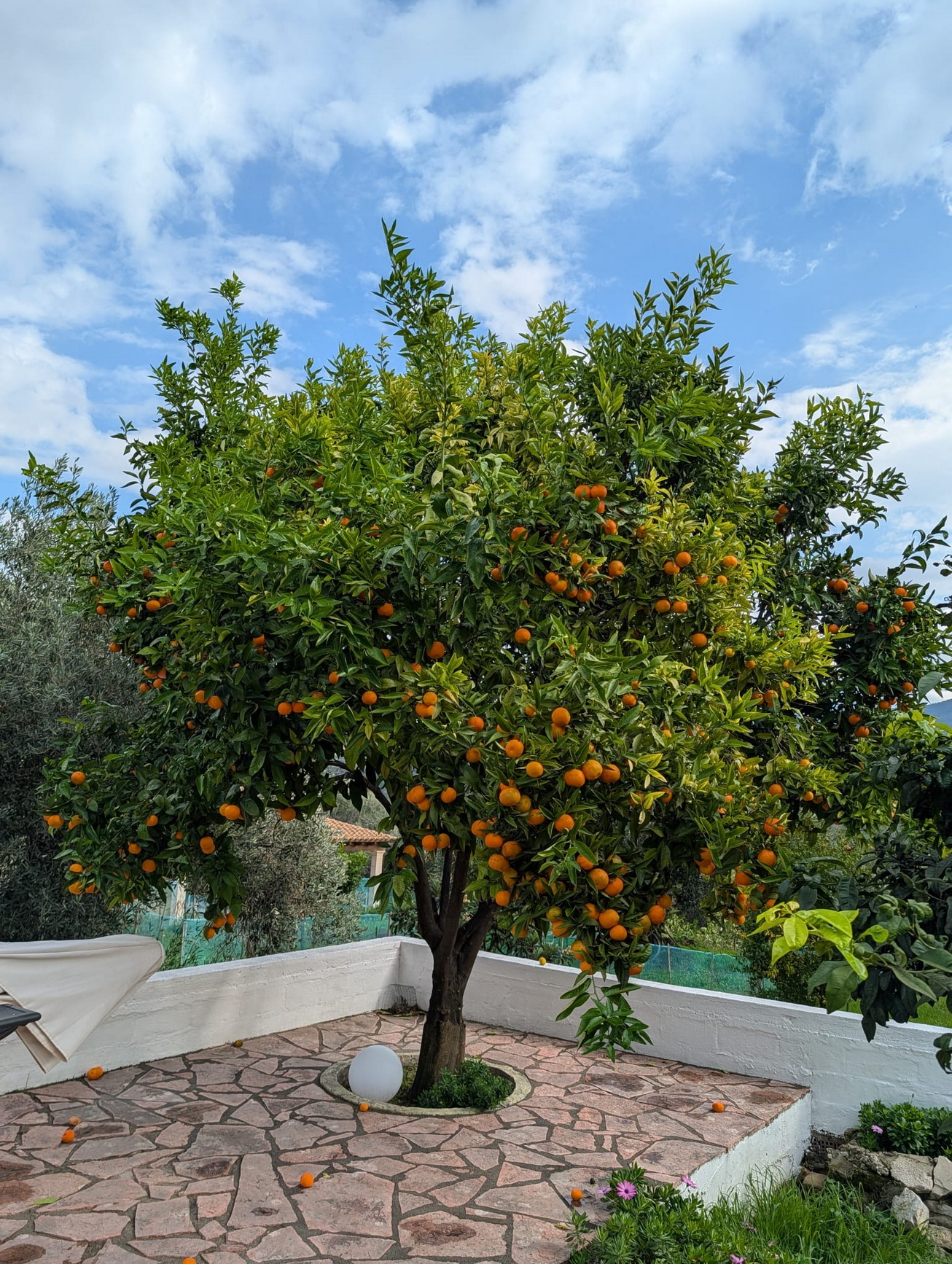 c4eedb35 9f87 4a53 9ed1 1c4d3046fd52 (1) resize