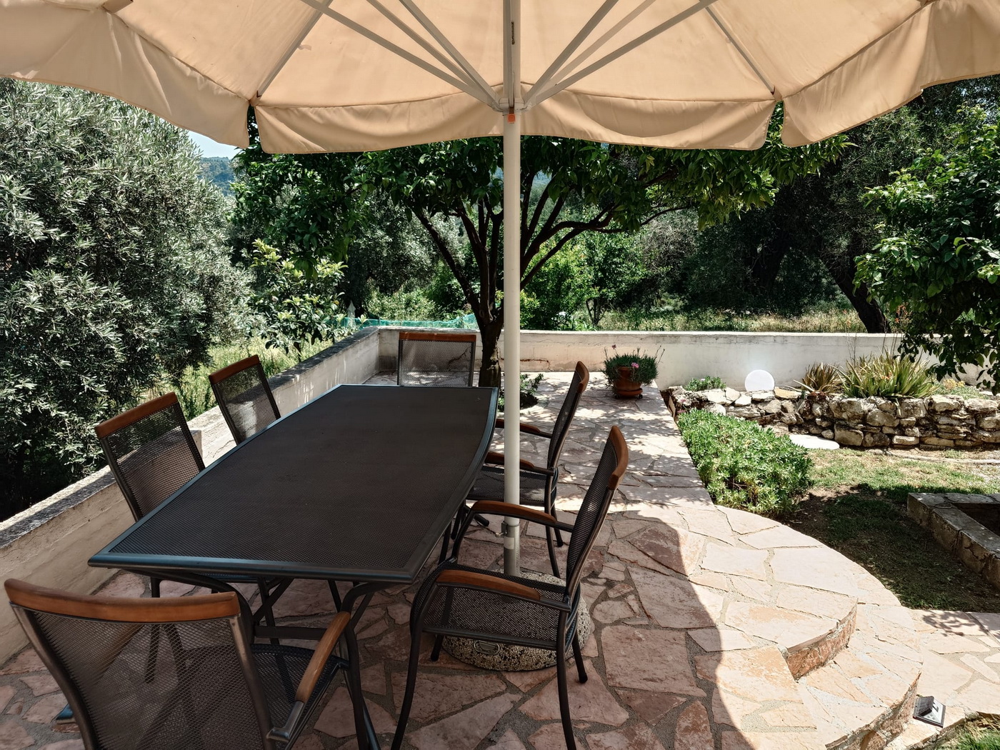 d6242fbf a031 4d00 9002 042a7d6fe560 (1) resize