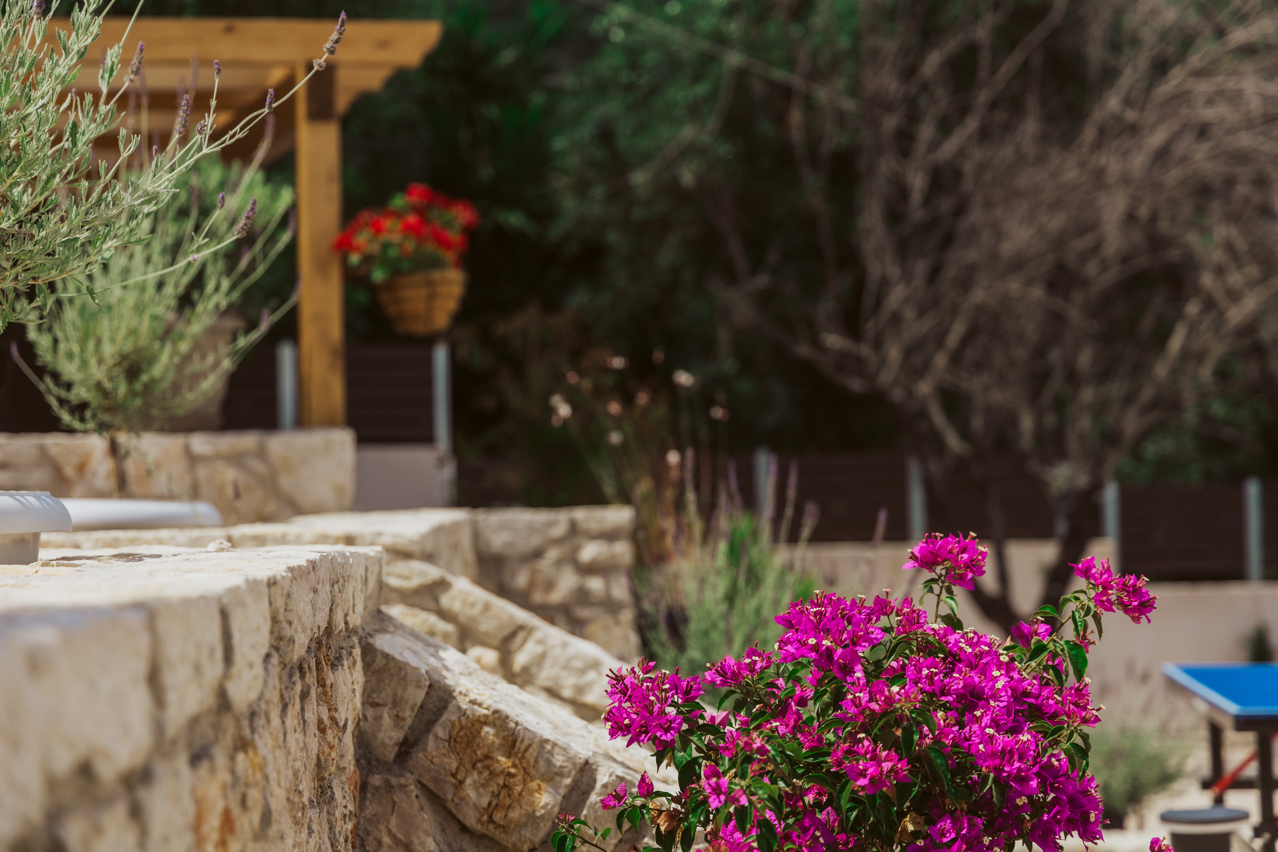 12 06 2023 Villa Helios Website 108