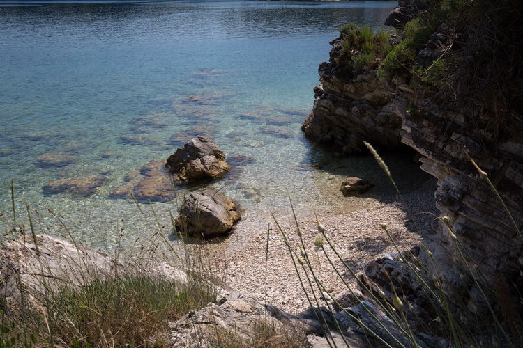 KP5A4064 resize