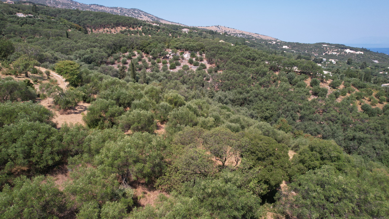 DJI 0305 resize