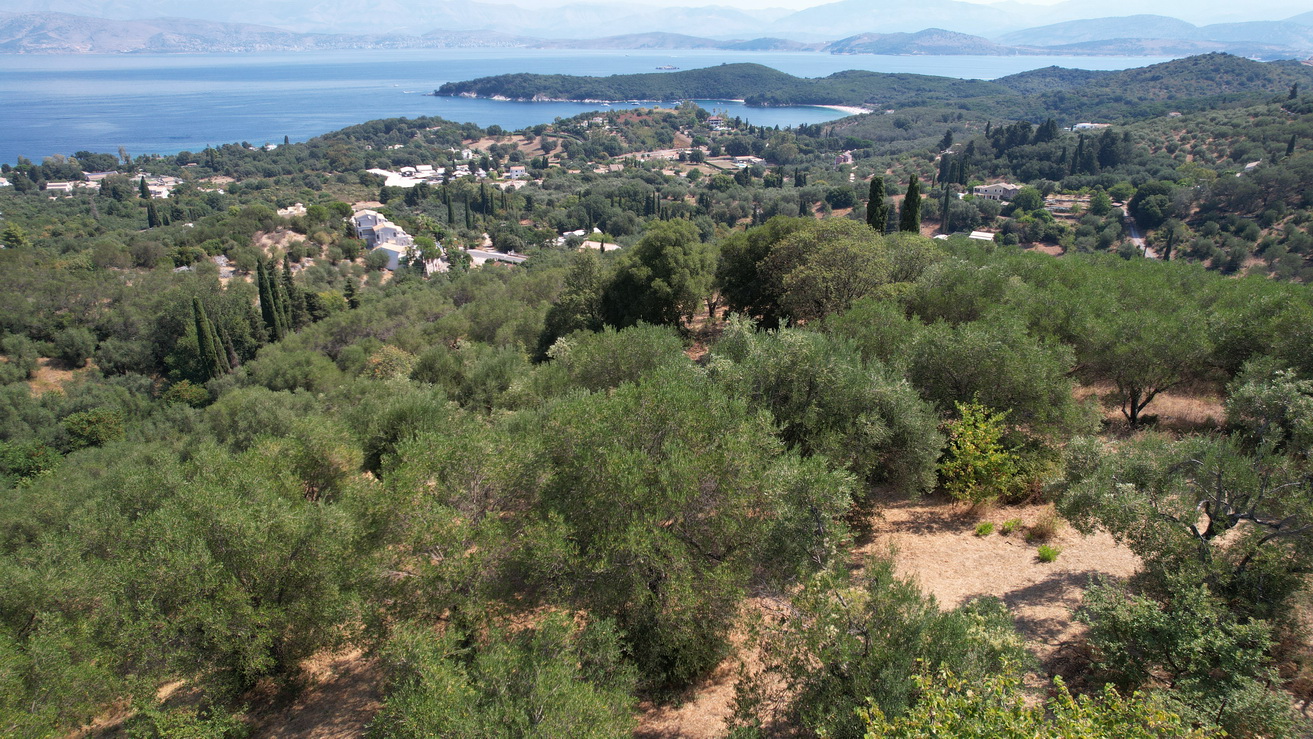 DJI 0288 resize