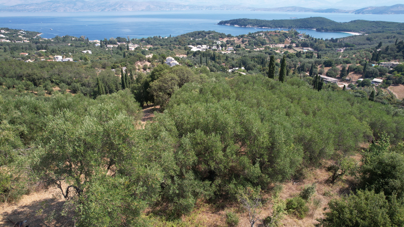 DJI 0293 resize