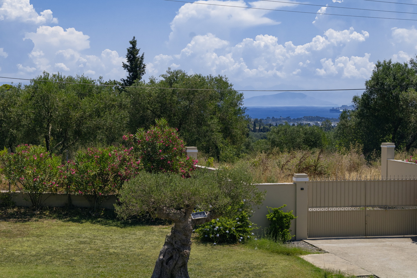 Photo 3 resize